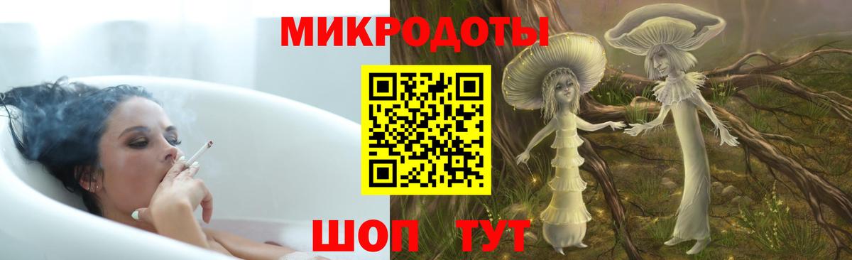 Санкт-Петербург  Галлюциногенные грибы Cubensis  Вход с VPN 